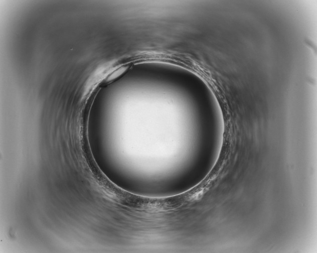 X0000094370103200711021537
