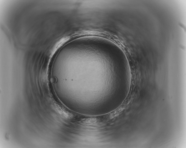 X0000094370104200711021537