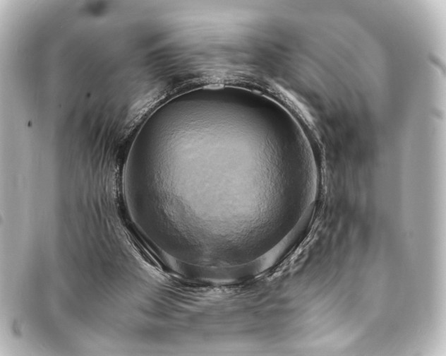 X0000094370105200711021537