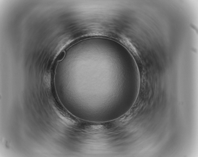 X0000094370108200711021537