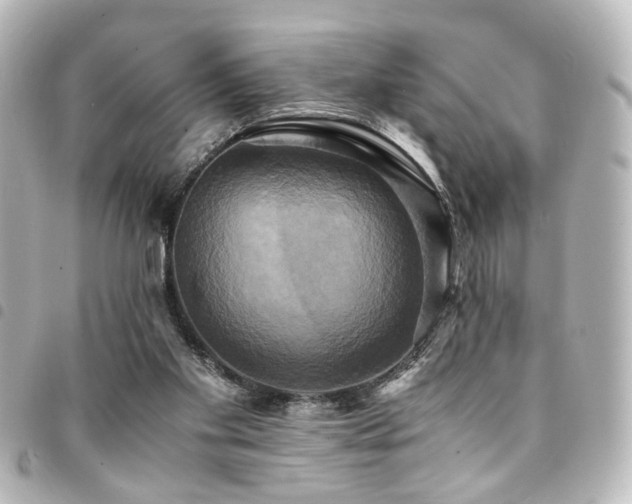 X0000094370109200711021537