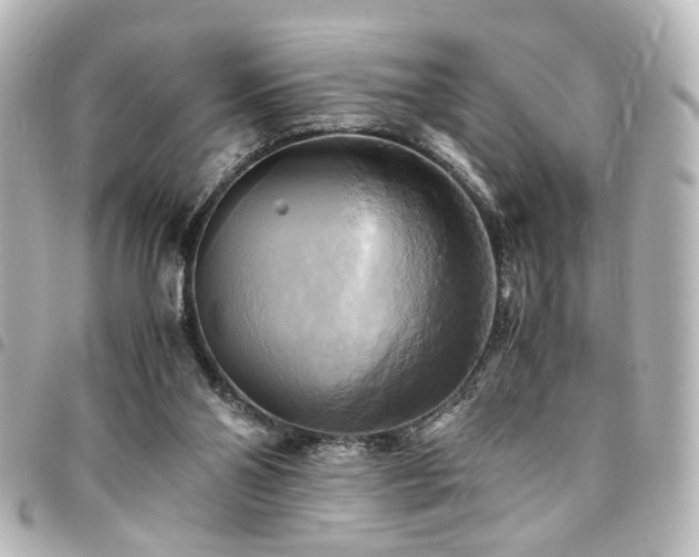 X0000094370110200711021537