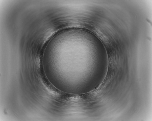 X0000094370112200711021537