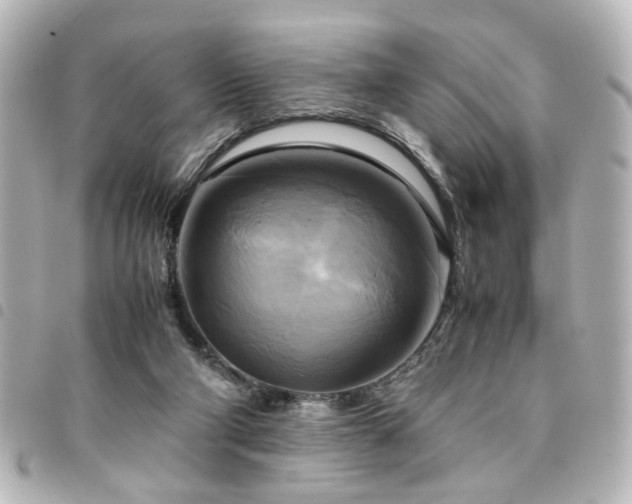 X0000094370114200711021537