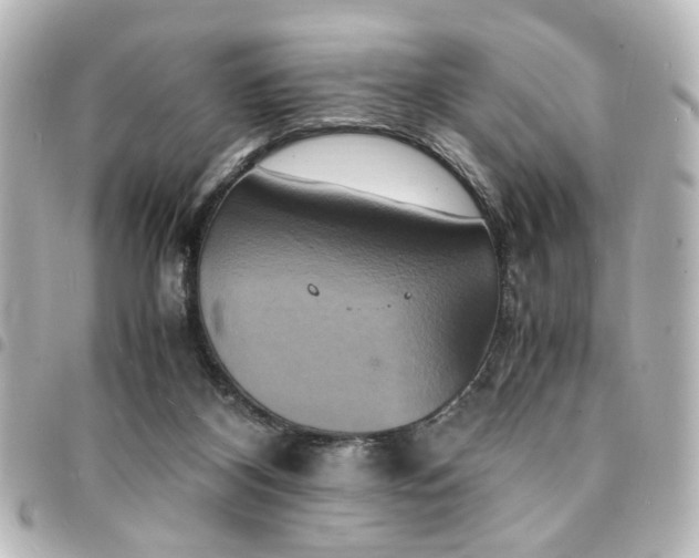 X0000094370116200711021537