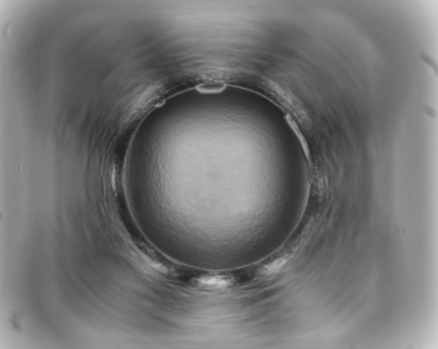 X0000094370117200711021537