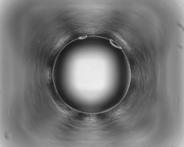 X0000094370119200711021537