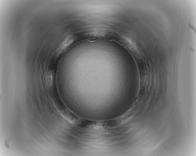 X0000094370120200711021537