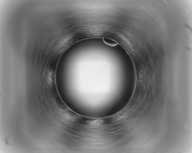 X0000094370122200711021537