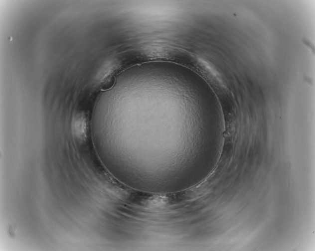 X0000094370124200711021537