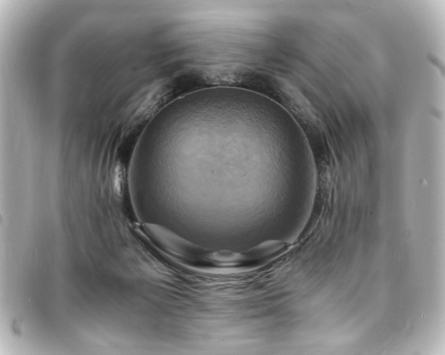 X0000094370125200711021537