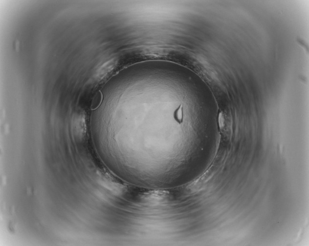 X0000094370128200711021537