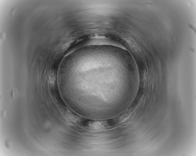 X0000094370129200711021537