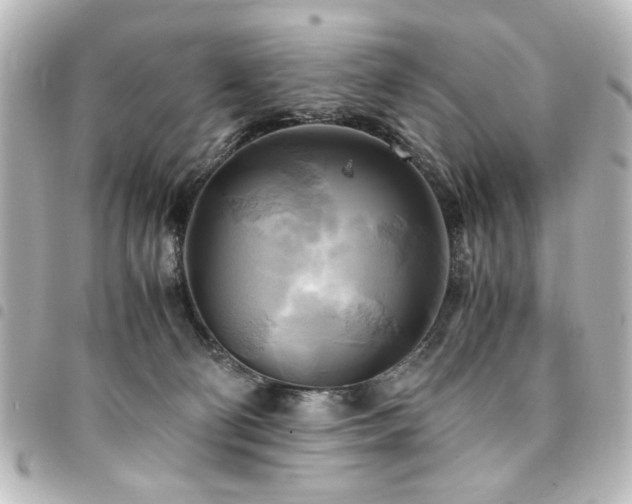 X0000094370130200711021537