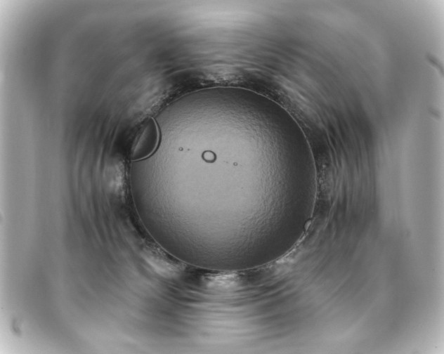 X0000094370132200711021537