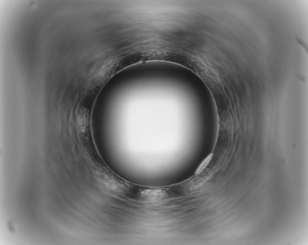X0000094370133200711021537
