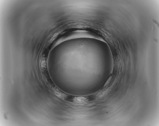 X0000094370137200711021537