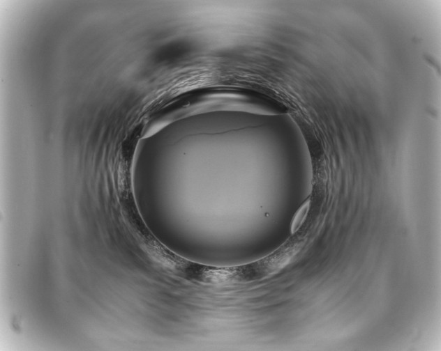 X0000094370139200711021537