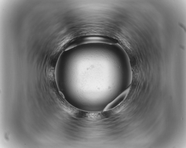 X0000094370141200711021537