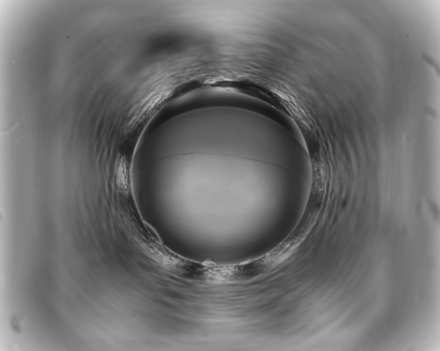 X0000094370143200711021537