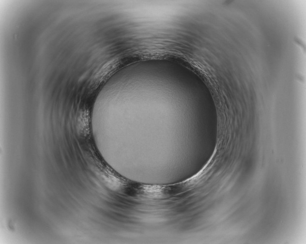 X0000094370144200711021537