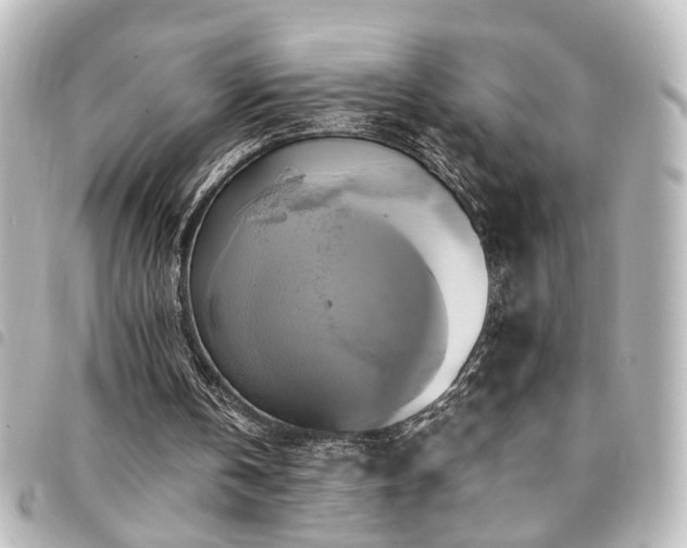 X0000094370146200711021536