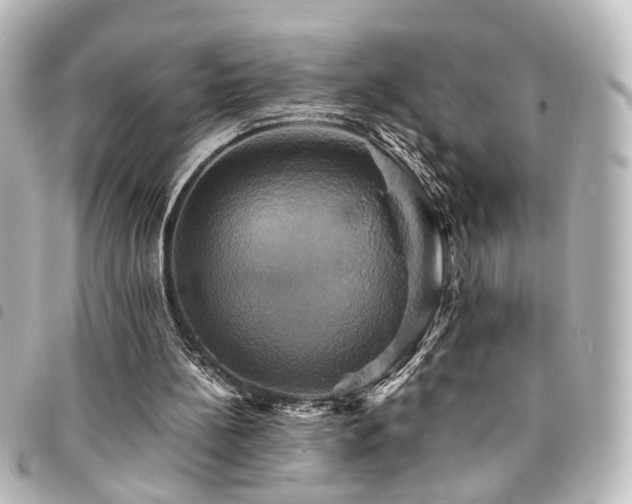 X0000094370148200711021536
