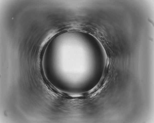 X0000094370150200711021536