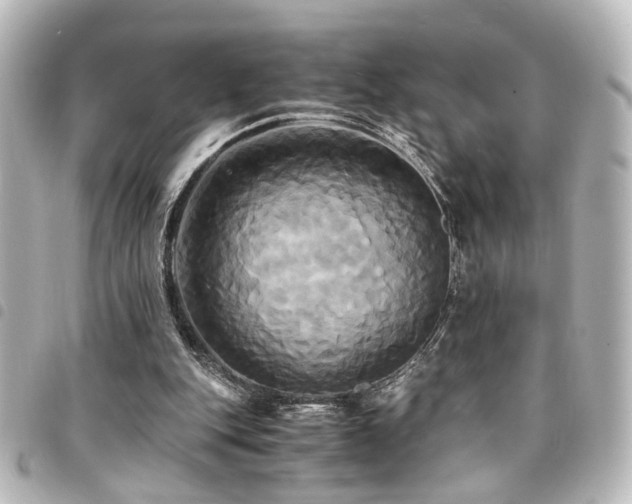 X0000094370151200711021536