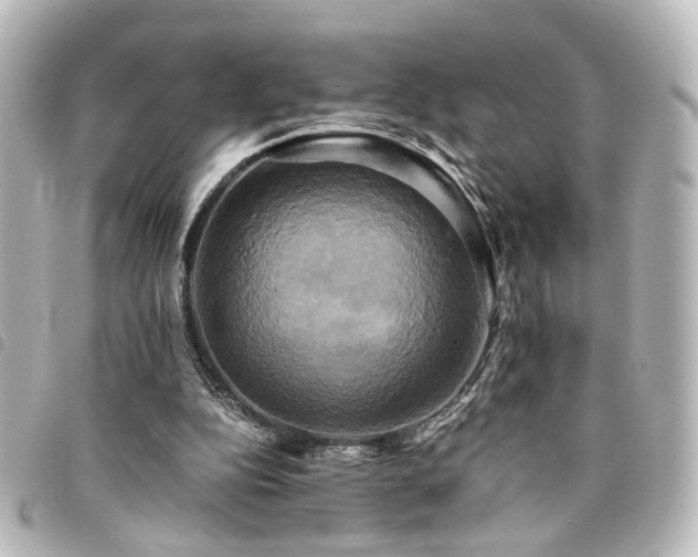 X0000094370152200711021536