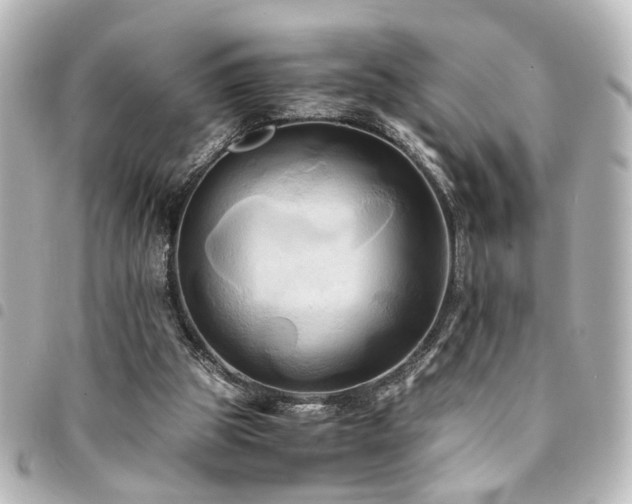 X0000094370153200711021536
