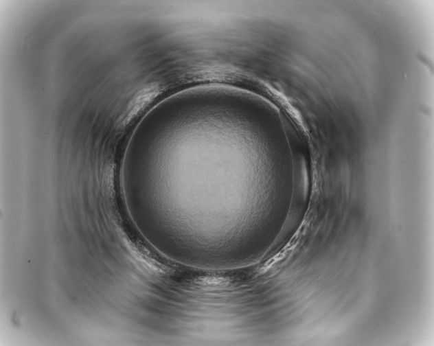 X0000094370154200711021536