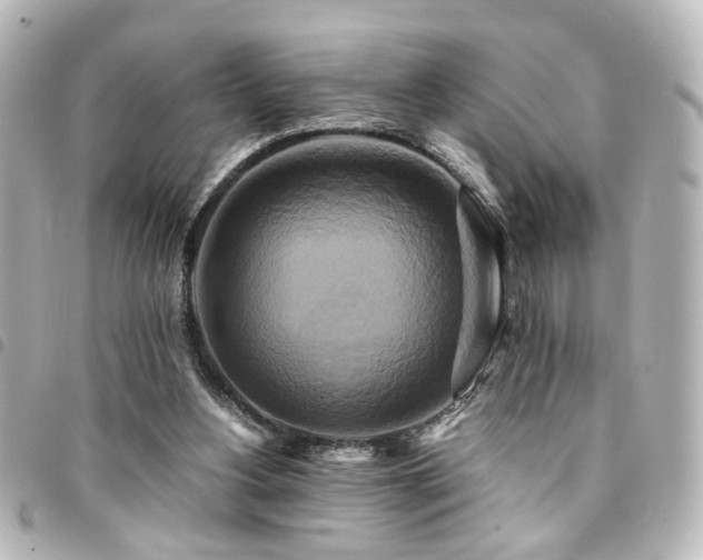 X0000094370156200711021536