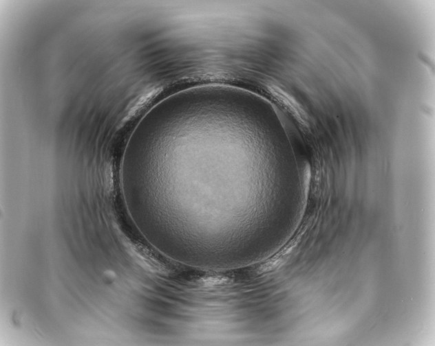 X0000094370158200711021536