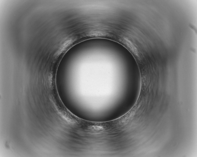 X0000094370159200711021536