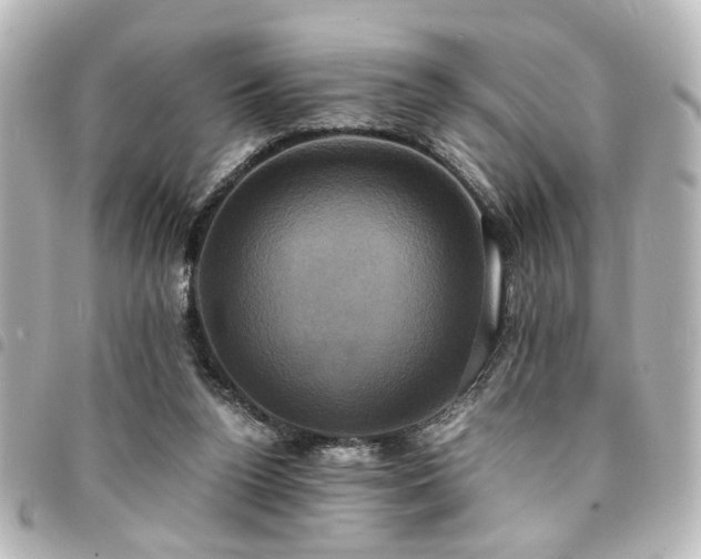 X0000094370160200711021536