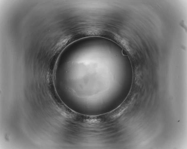 X0000094370161200711021536