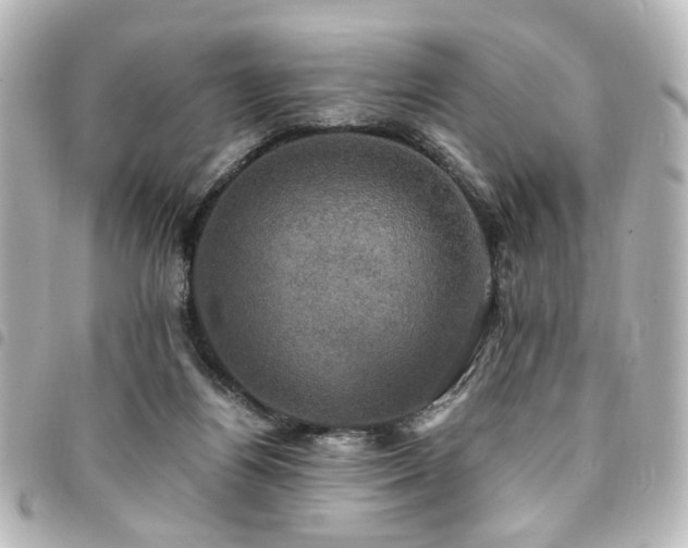 X0000094370164200711021536