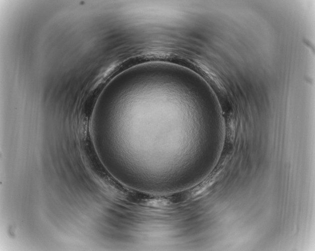 X0000094370168200711021536