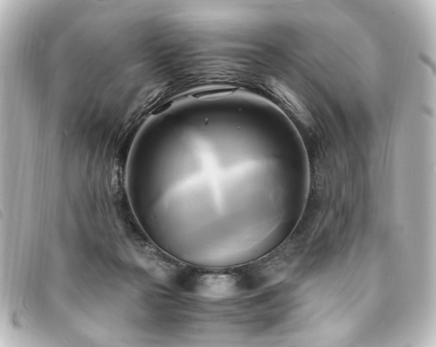 X0000094370169200711021536