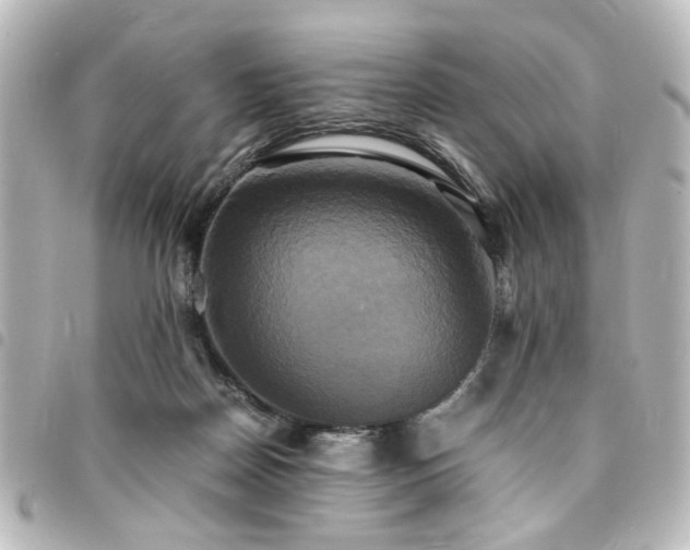 X0000094370170200711021537