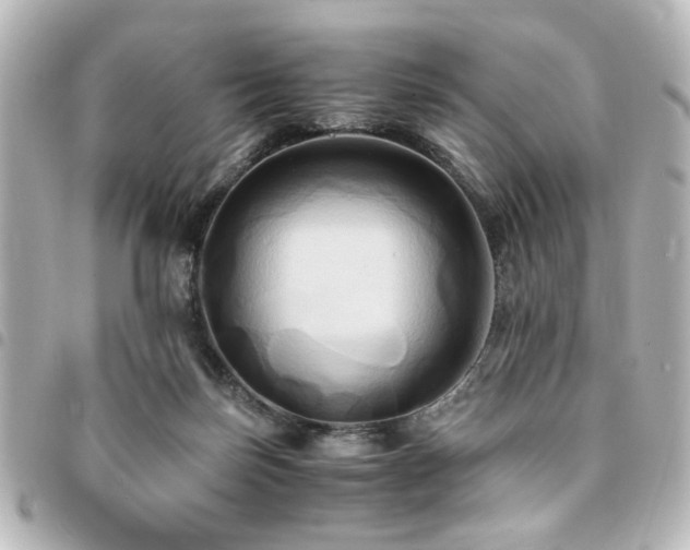 X0000094370171200711021537