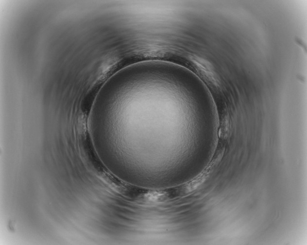 X0000094370172200711021537