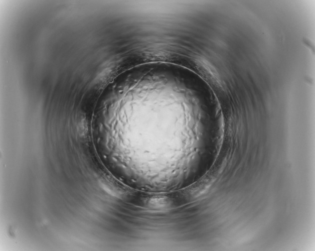 X0000094370173200711021537