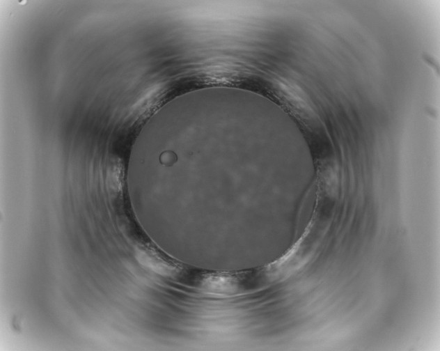 X0000094370174200711021537