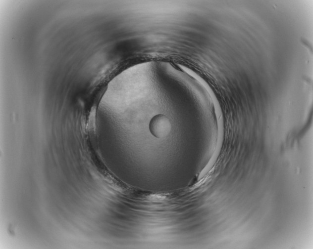 X0000094370176200711021537