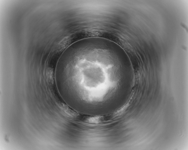 X0000094370178200711021537