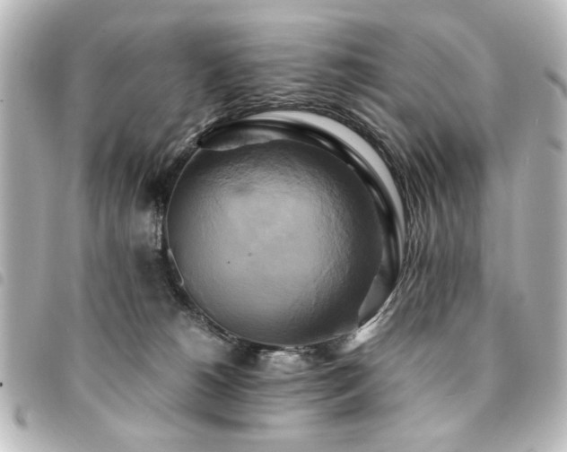 X0000094370180200711021537