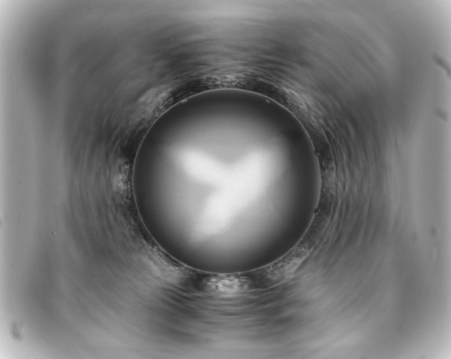 X0000094370181200711021537