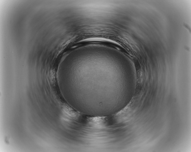 X0000094370184200711021537